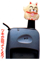 neko-1